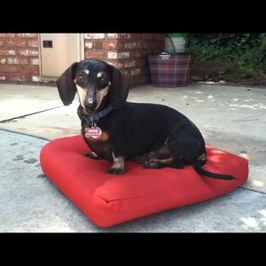 Meet your Posher, Charisma